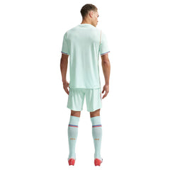 France WC 2026 away (player version)